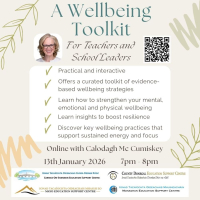 A Wellbeing Toolkit for Teachers and School Leaders