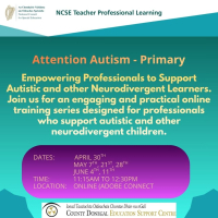 NCSE - Attention Autism - Primary