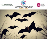 Meet The Scientist Series: Why are bats brilliant and how can they help us all?