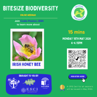 Weekly Bitesize Biodiversity Series (15 Minutes) - Irish Honey Bee