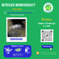 Weekly Bitesize Biodiversity Series (15 Minutes) - Tardigrade