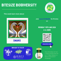 Weekly Bitesize Biodiversity Series (15 Minutes) - Swan
