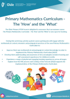 Primary Mathematics Curriculum - The 'How' and the 'What' (St Patrick's NS, Lurgybrack)