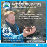 Exploring The Seashore Using Creative Cross Curricular Learning & Skills Development (Holy Trinity NS, Dunfanaghy)
